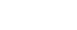 Noesis