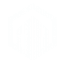 Safe Vanguard logo